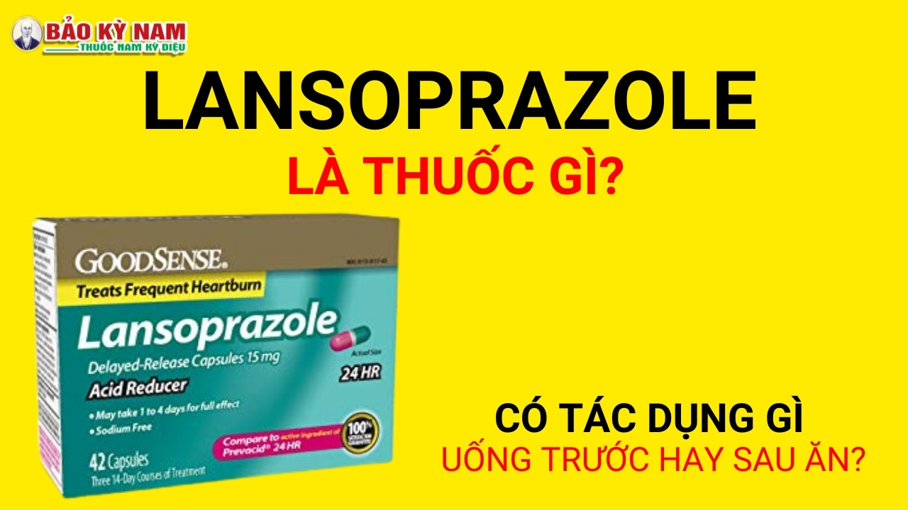 Thuốc lansoprazole có tác dụng gì?